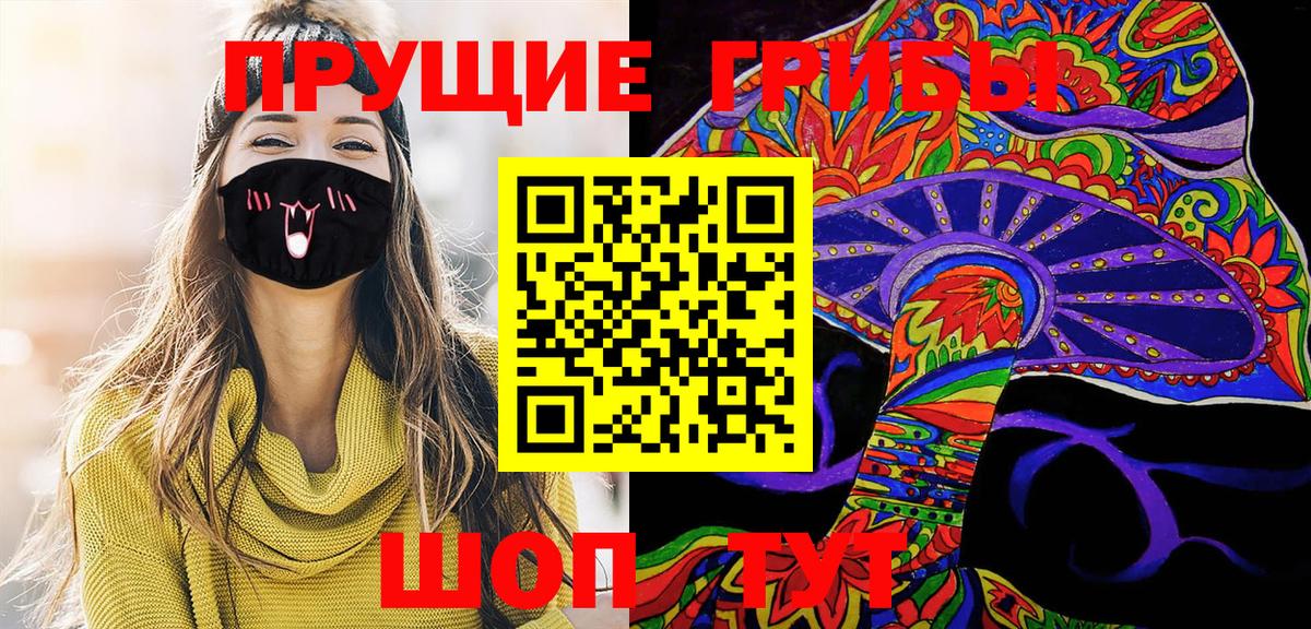 Галлюциногенные грибы Psilocybe Керчь