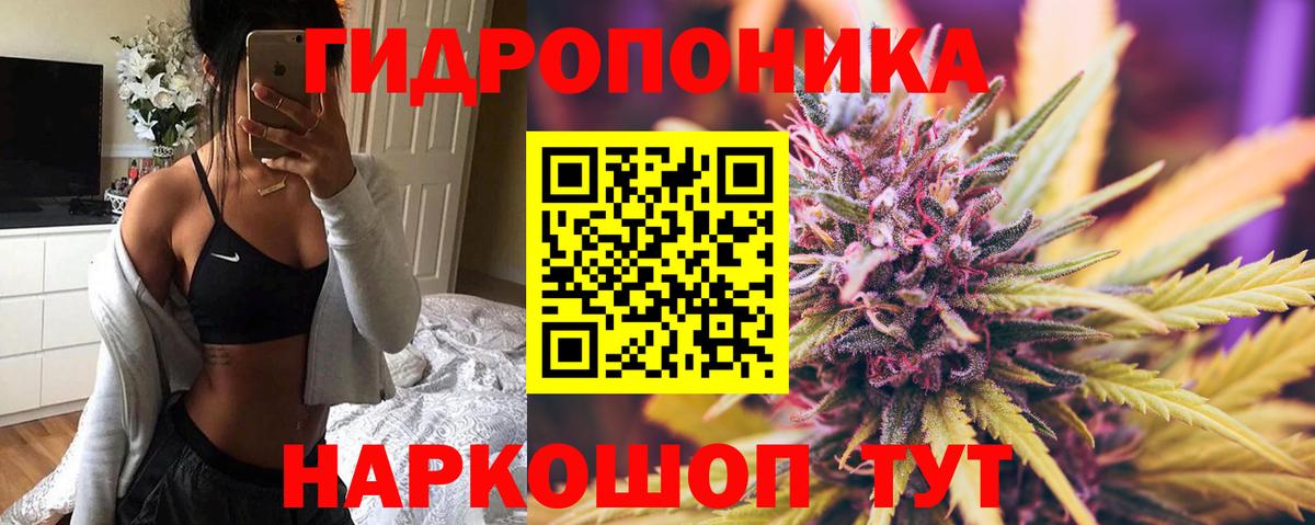Бошки Шишки гибрид Керчь
